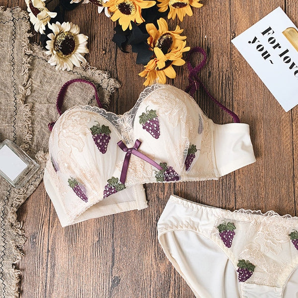 Women Lace Embroidered Bra Set