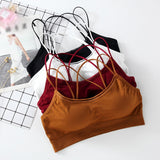 Sexy Beauty Back Bra For Women